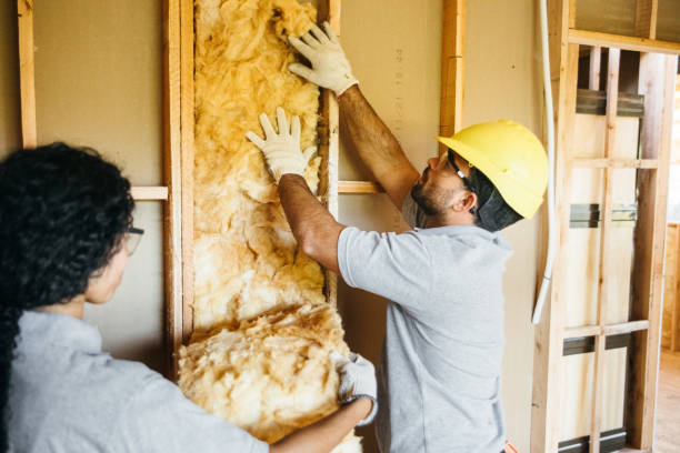 Best Insulation Replacement Services  in Hoboken, NJ