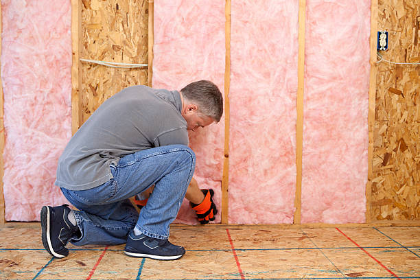 Best Wall Insulation Contractor  in Hoboken, NJ
